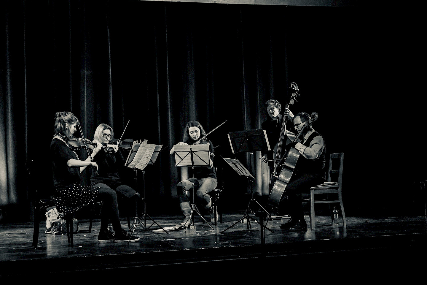 Von links nach rechts: Patricia Hibler – Violine, Diana Grigorova – Violine, Veronika Steinel – Viola, Felix Chougrani – Violoncello, Siegfried S. – Bass
