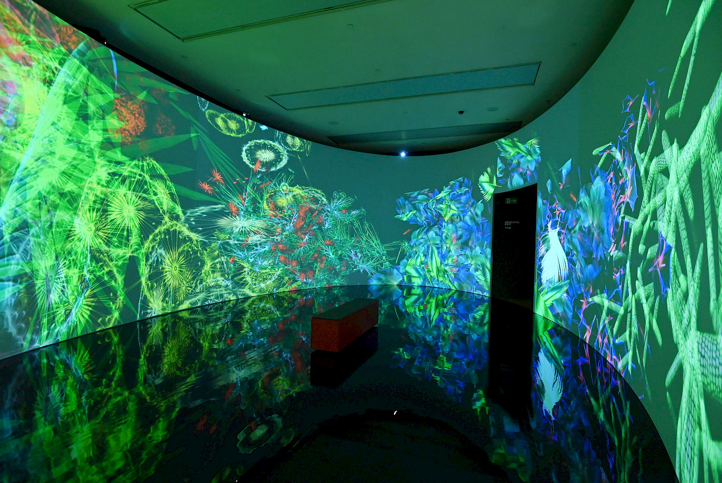 Installationsansicht Meta NAture In der der Kunsthalle München