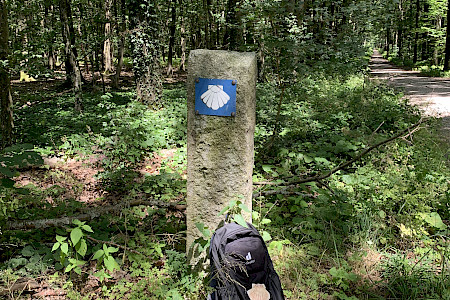 Auf dem Jakobsweg