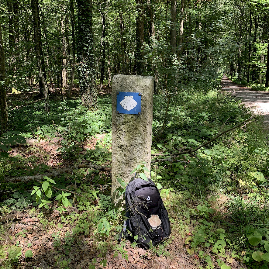 Auf dem Jakobsweg © Annette Scherer