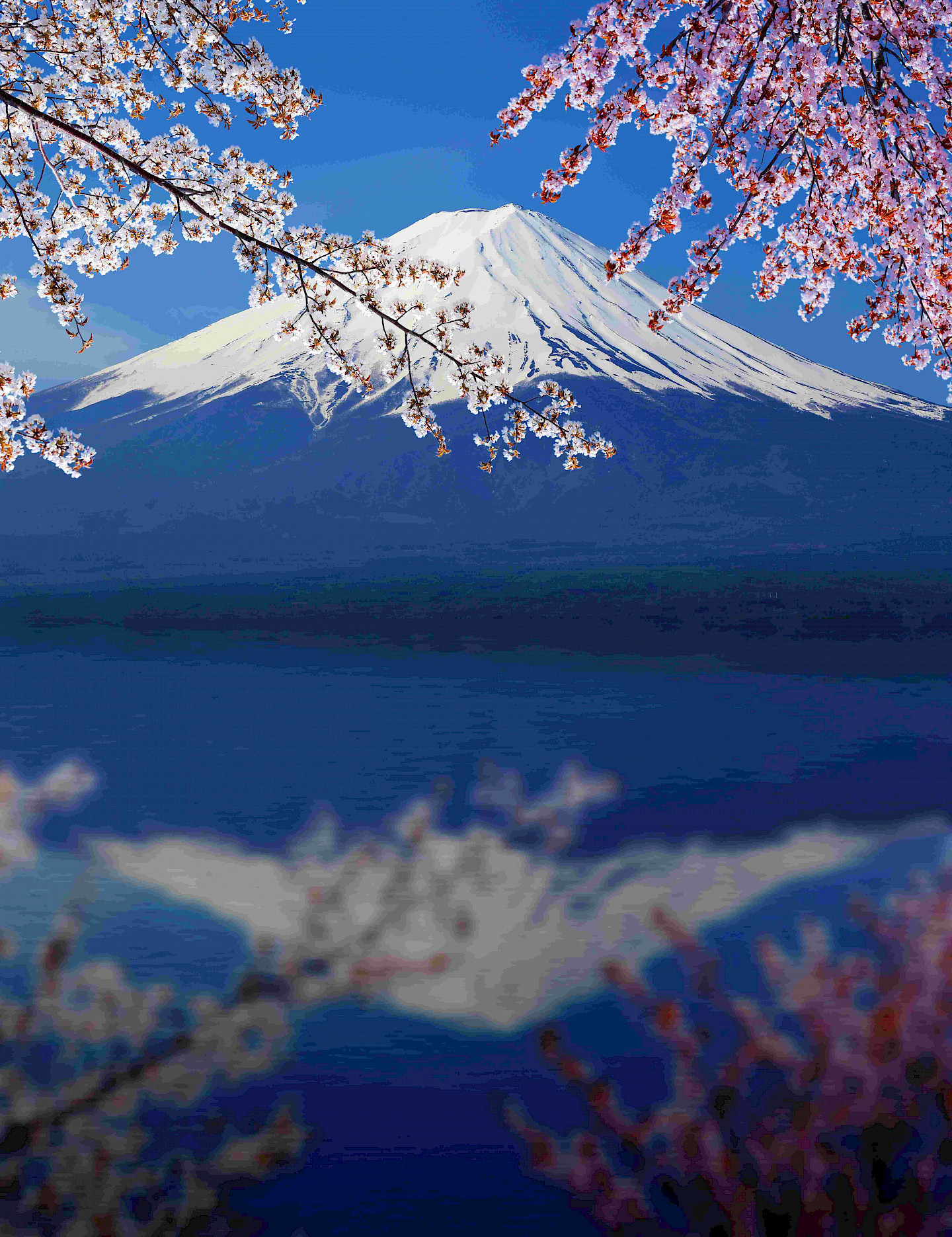 Kirschblüten vor Mount Fuji Japan